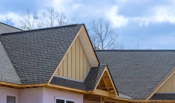 Best Roof Coating and Sealing  in Glenview, IL
